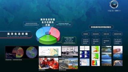 自然资源部党组成员、国家海洋局局长王宏,自然资源部党组成员林山青一行听取彩虹鱼海洋产业发展汇报