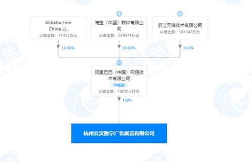 阿里巴巴 中国 网络技术成立新公司 注资100万元