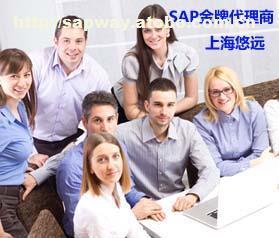 【用SAP ERP系统首选上海悠远SAP咨询公司 提供SAP金牌服务】SAP ERP,价格,厂家,图片,供应商,系统管理软件,上海悠远信息技术 - 供应信息 - 阿土伯交易网